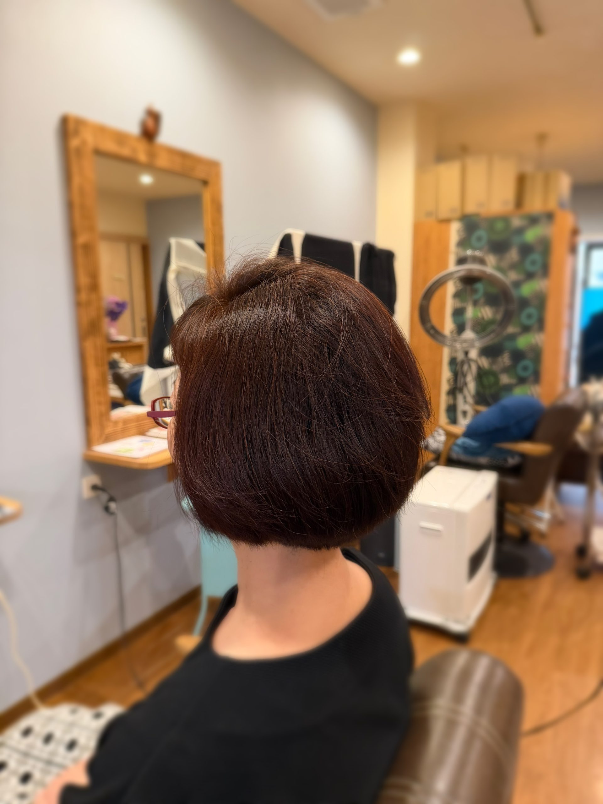 えりあしのはえぐせ